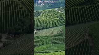 Barolo life winelovers piedmont dolcevita [upl. by Igiul]