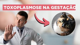 Toxoplasmose na Gravidez  como evitar Quais os perigos da “doença do gato” [upl. by Yelrahc]