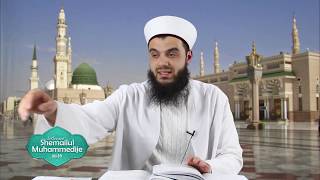 Si ka ngrënë Resulullahi ﷺ  Derset nga quotShemailul Muhammedijequot  Pj 16 [upl. by Yevi993]