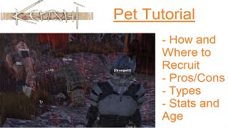 Kenshi Tutorials  How to Recruit Pets Different Types and ProsCons [upl. by Munford]