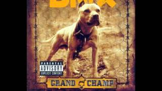 DMX  X Gonna Give It To Ya Censored w lyrics [upl. by Ettelra]