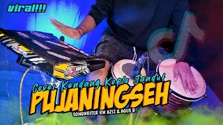 PUJANINGSIH Dhuh sang mustikaning asmara VERSI KOPLO JANDUT  audio glerr 2024 [upl. by Lay]