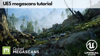 Unreal Engine 5  Quixel MegaScans Tutorial [upl. by Ilecara]