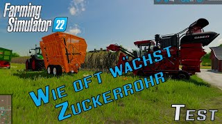 Wie erntet man Zuckerrohr und wie oft wächst es nach  LS 22Test  Farming Simulator [upl. by Snehpets]