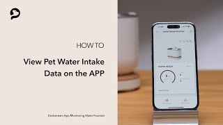 How to View Pet Water Intake Data  PETLIBRO Dockstream App Monitoring Fountain [upl. by Anauqat]