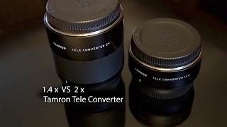 Tamrons 14x vs 2x Teleconverter Pros and Cons [upl. by Rainwater925]