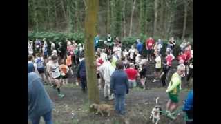 Guiseley Gallop 2012wmv [upl. by Rhett]