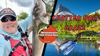 Chatterbait Craze Every fish was looking to bite chatterbait pike to Drum smallies even catfish [upl. by Xino807]