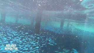 Snorkeling House Reef Brayka Bay Southside  Marsa Alam  Ägypten Gopro Black 7 Underwater [upl. by Elay]