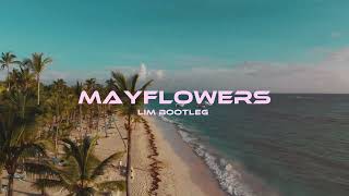 TROPICAL VIBES Boy In Space  Mayflowers  LIM BOOTLEG [upl. by Franciscka303]