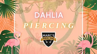 ASYMMETRISCHE Piercings⁉💦 DAHLIA PIERCING┃💉Marcs Piercing TV [upl. by Tnilf]