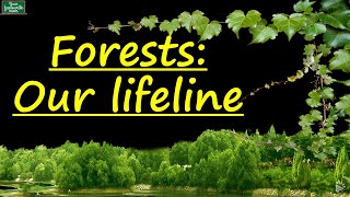 Forests  Forests  Our Lifeline  Class 7  Science CBSE [upl. by Atterual]