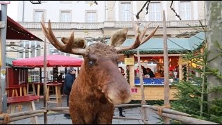 Weihnachtsmarkt in Kassel Gang über den Königsplatz und Friedrichsplatz [upl. by Stanway]