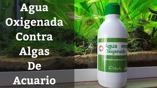 🔵 Agua Oxigenada Para El Acuario Para Eliminar Algas Acuarios MB [upl. by Saref931]