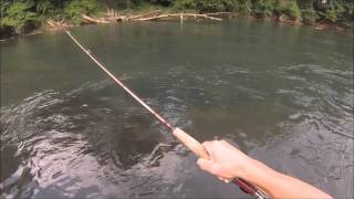 Streamer Fishing the Chattahoochee Tailwater [upl. by Martinic]