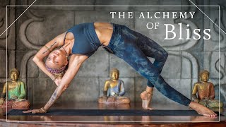 Full Body Yoga Flow  60 MIN Yoga For Flexibility Mobility amp Strength [upl. by Neeloj652]