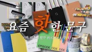 기록 덕후의 문구 위시리스트 ✏️✨  다이어리 노트 만년필 펜 마스킹테이프 문구 하울  문구추천  문구대장정 [upl. by Guillermo]