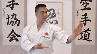 LETS LEARN KARATE with Ryan Hayashi 1  Beginners Training At Home [upl. by Inava]