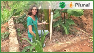 Fossa Verde e Círculo de Bananeiras  SUBPROJETO CONEXÃO BANANAL  CONEXÃO MATA ATLÂNTICA [upl. by Inanuah]