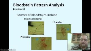 Forensic Serology Blood and Body Fluids [upl. by Mulac736]