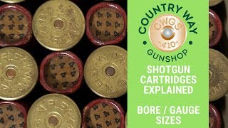 Shotgun Cartridges Explained UK Bore  Gauge Guide [upl. by Ahsieni]