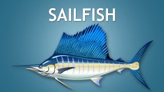 Elltharis  SAILFISH 5★ [upl. by Brogle680]