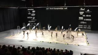 Lockport Township Varsity Winter Guard 2017 [upl. by Selec]