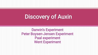 Discovery of Auxin Darwins experiment paal experiment Boysen Jensen experiment went experiment [upl. by Floeter]