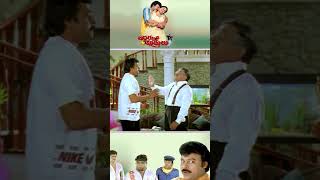 Chandra Mohan amp Chiranjeevi Comedy Scene shortvideo shorts short shortsfeed [upl. by Leirbag434]