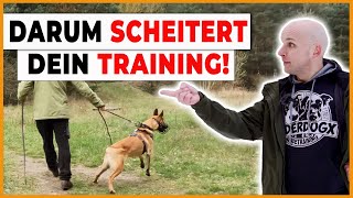 👀 Das sagt dir fast kein Hundetrainer Was Grundbedürfnisse des Hundes mit Training zu tun haben [upl. by Meingolda]