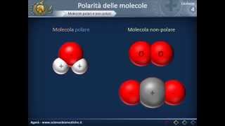 Citologia 04  Polarità delle molecole [upl. by Ammeg]