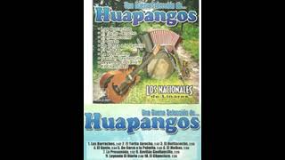 Los Nacionales de Linares  UNA BUENA SELECCION DE HUAPANGOS Album Completo 10 EXITOS [upl. by Lednek]