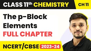 The pBlock Elements  Full Chapter Explanation and NCERT Solutions  Class 11 Chemistry Chapter 11 [upl. by Maya]