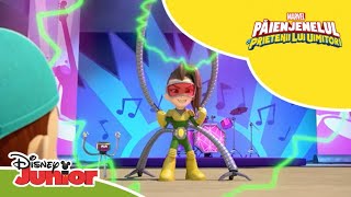 🥁 Hipnoritmul  Păienjenelul Marvel și prietenii lui uimitori  Disney Junior România [upl. by Bucky]