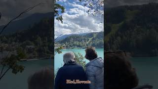 Slovenian story 🇸🇮facts slovenia czechrepublic travel students czvlogs happiness [upl. by Ecirtak21]