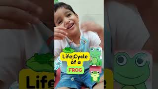 Tiny tadpoles big jumps of learning 🐸💧 Jump into Learning The Life Cycle Frog growsmartc̅aryan [upl. by Foster42]