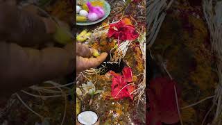 నాగులచవితి గురించి చాగంటిగారి మాటల్లో 😱😱minivlog astrology srichagantikoteswararaopravachanalu [upl. by Eipper308]