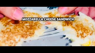 Restaurant style cheese sandwich Mozzarella cheese sandwich recipe  2 minute cheese recipe [upl. by Cherilynn]