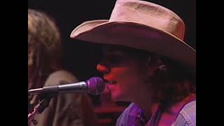 Wilco  New Madrid  11271996  Chicago IL [upl. by Kramnhoj]