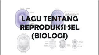 Lagu Tentang Reproduksi Sel Biologi [upl. by Pavlov]