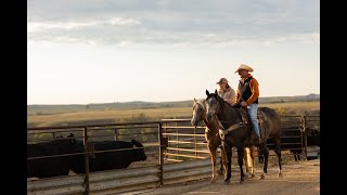 Strommen Ranch  Raising Kids and Maternal Angus Cattle on the North Dakota Plains [upl. by Genisia258]