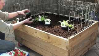 Moestuin op wielen 14 april 2012mp4 [upl. by Ethelred]