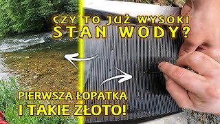 Czy to wysoki stan wody w tym miejscu ❓ Złoto wychodzi już na pierwszych łopatkach💥Polskie złoto ⛏🟡 [upl. by Etteuqal757]