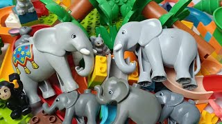 Satisfying Building Blocks Marble Run Assembly ASMR fun animals 16 [upl. by Pigeon165]