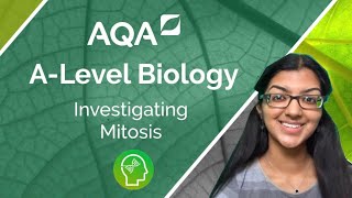 AQA A Level Biology Investigating Mitosis [upl. by Gamin385]