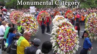 Medellin Colombia Flower Parade Desfile de Silleteros at the Feria de las Flores Flower Festival [upl. by Ahsaelat295]