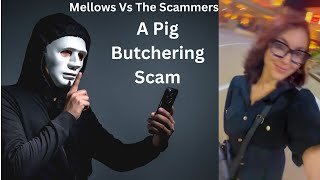 Mellows Vs Scammer A Pig Butchering Scam [upl. by Dnomsed]