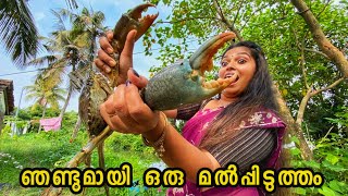 🔥 ഭീമൻ ഞണ്ടിനെ പിടിച്ച് കറിയാക്കി😲 crab recipes smeesworld crab village [upl. by Atinrehs]