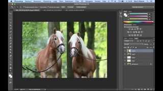 Meerdere fotos samenvoegen in Photoshop [upl. by Daukas]