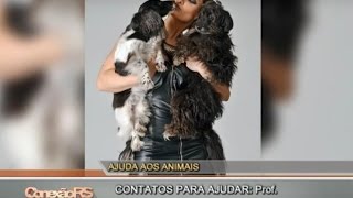 Veterinária da ULBRA lança calendário para ajudar pets [upl. by Derraj]